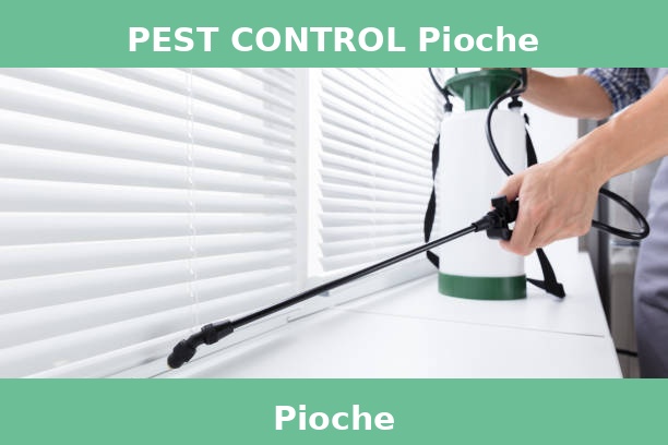 PEST CONTROL Pioche
